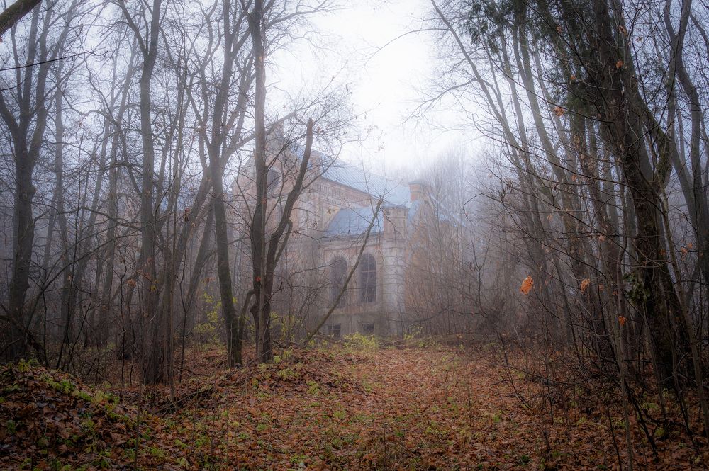 Photograph by Кондрашова Светлана