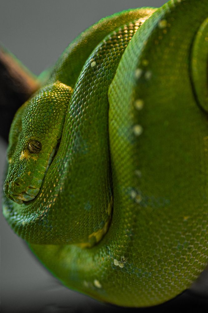 Photograph by Онарина Ягина