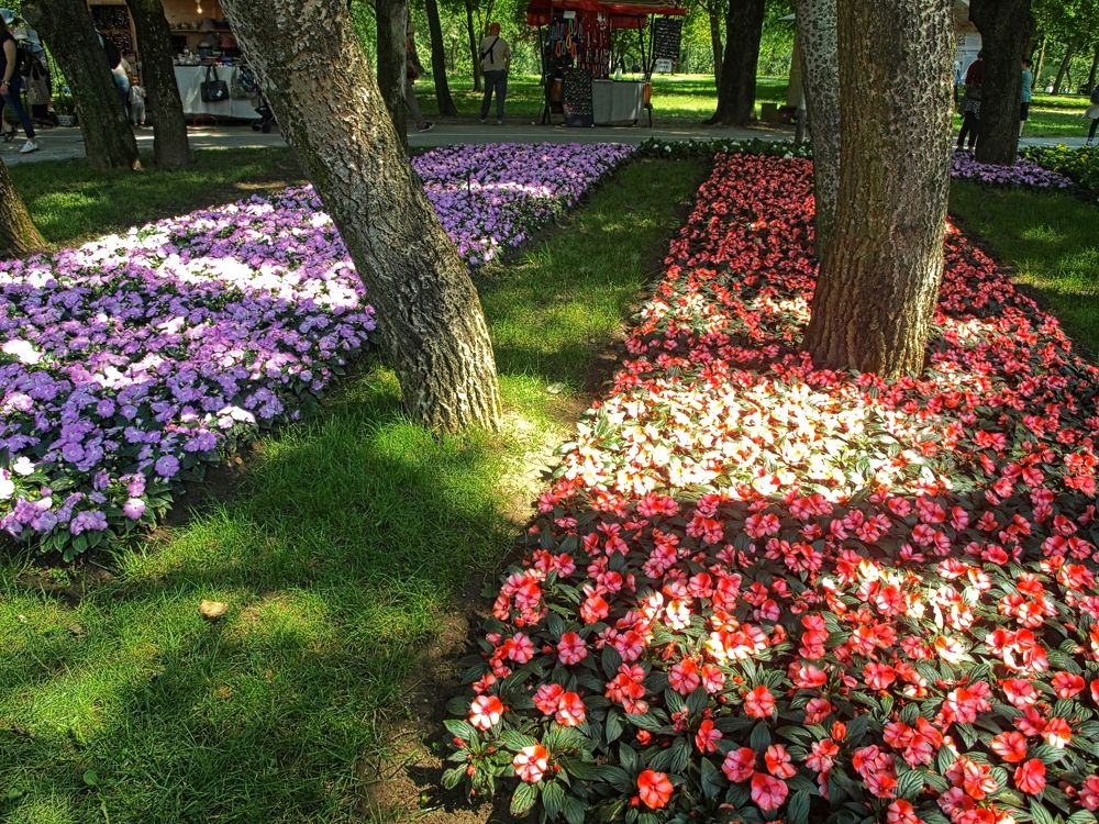 Фотография автора Ivana Kolenc