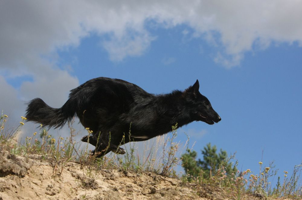 Фотография автора Надежда Лисицына