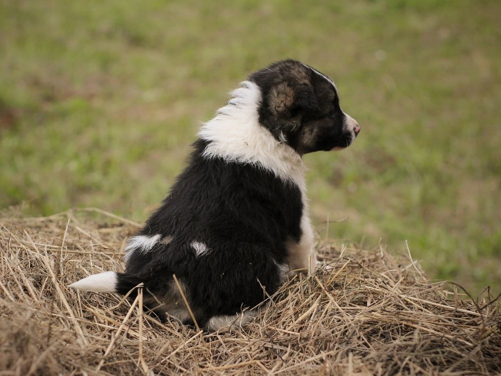 Фотография автора Евгения Никишина