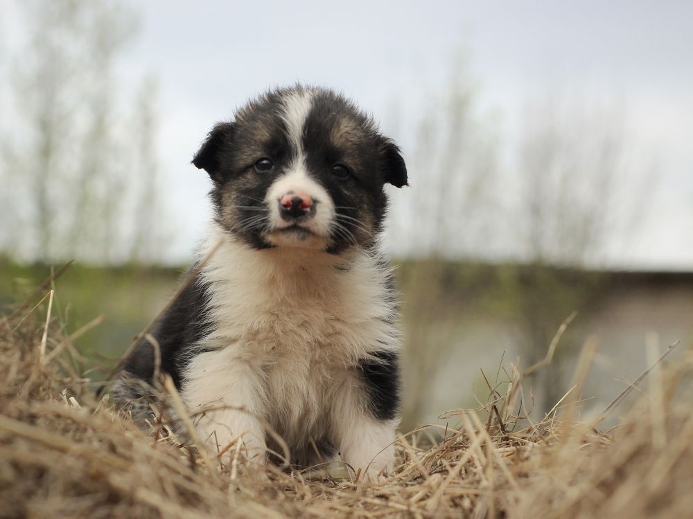 Фотография автора Евгения Никишина