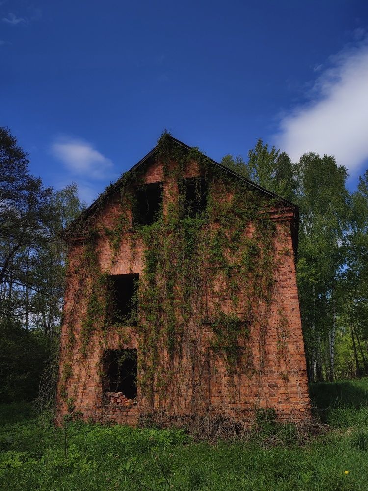 Photograph by Сергей Симаков