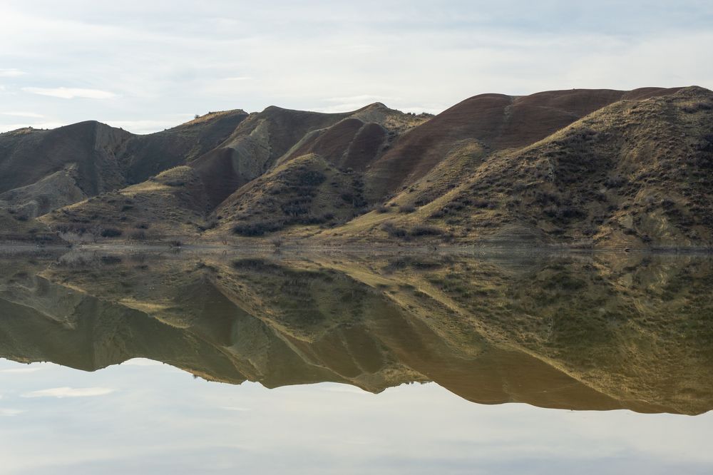Photograph by Анастасия Сартакова