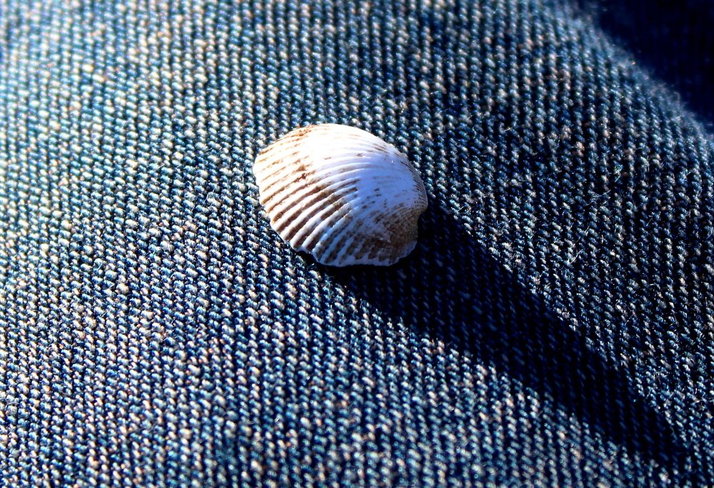 Photograph by Николай Немчанинов