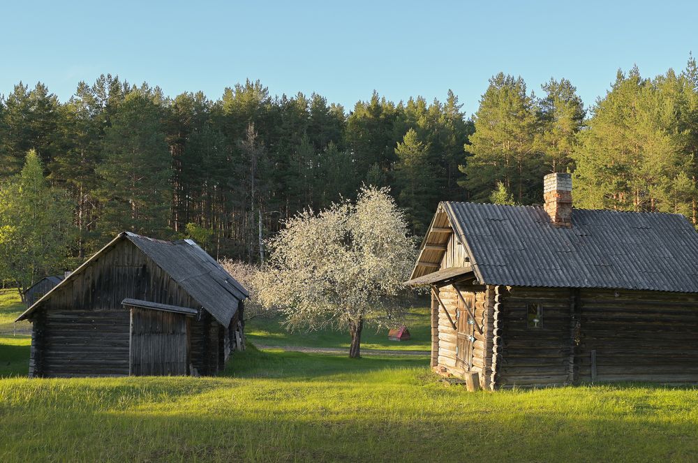 Photograph by Наталья Сергеева