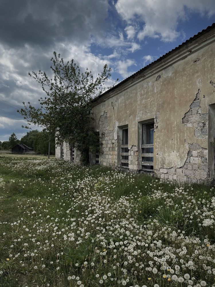 Фотография автора Юлия Косинова