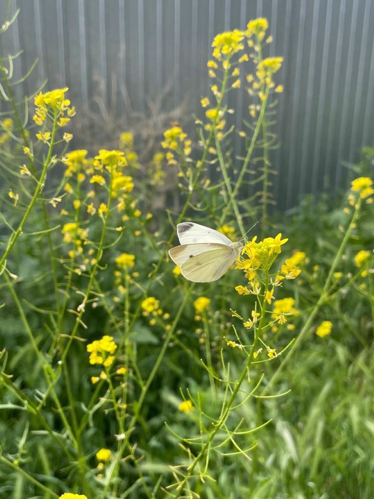 Photograph by Dasha Sew