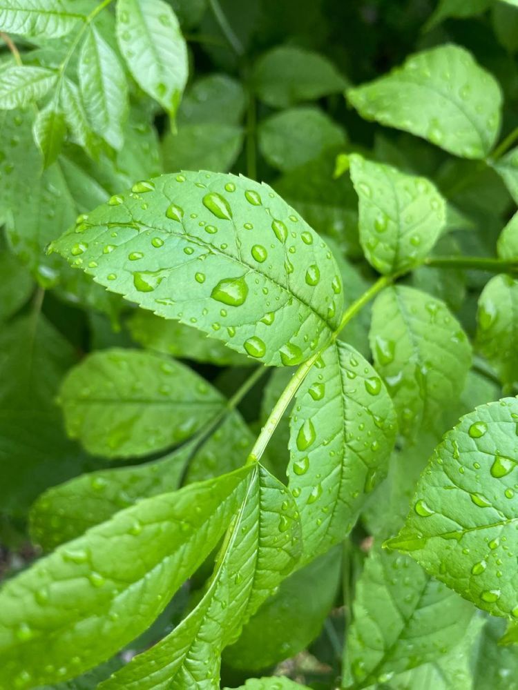 Photograph by Dasha Sew