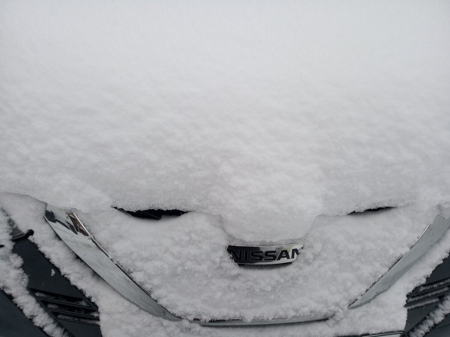 Photo #10608297