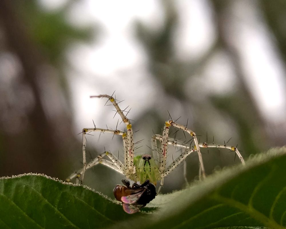 Фотография автора Subham Banerjee