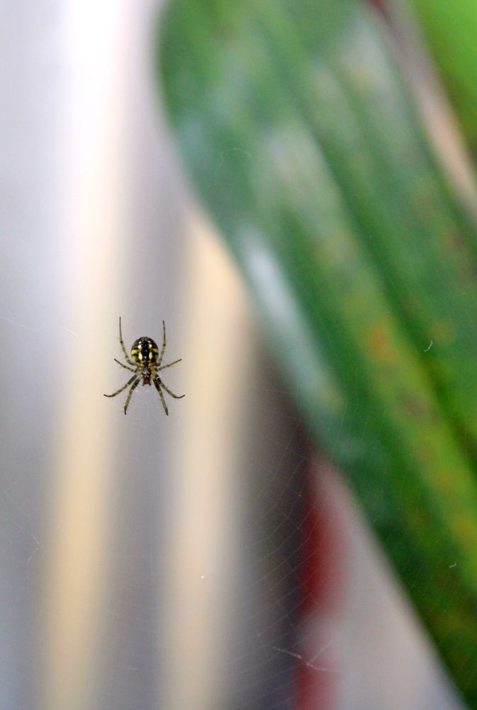 Photograph by Николай Немчанинов