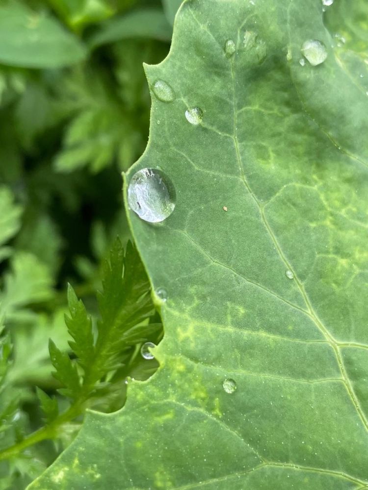 Photograph by Dasha Sew