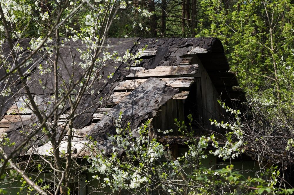 Photograph by Валерий Лукьянов