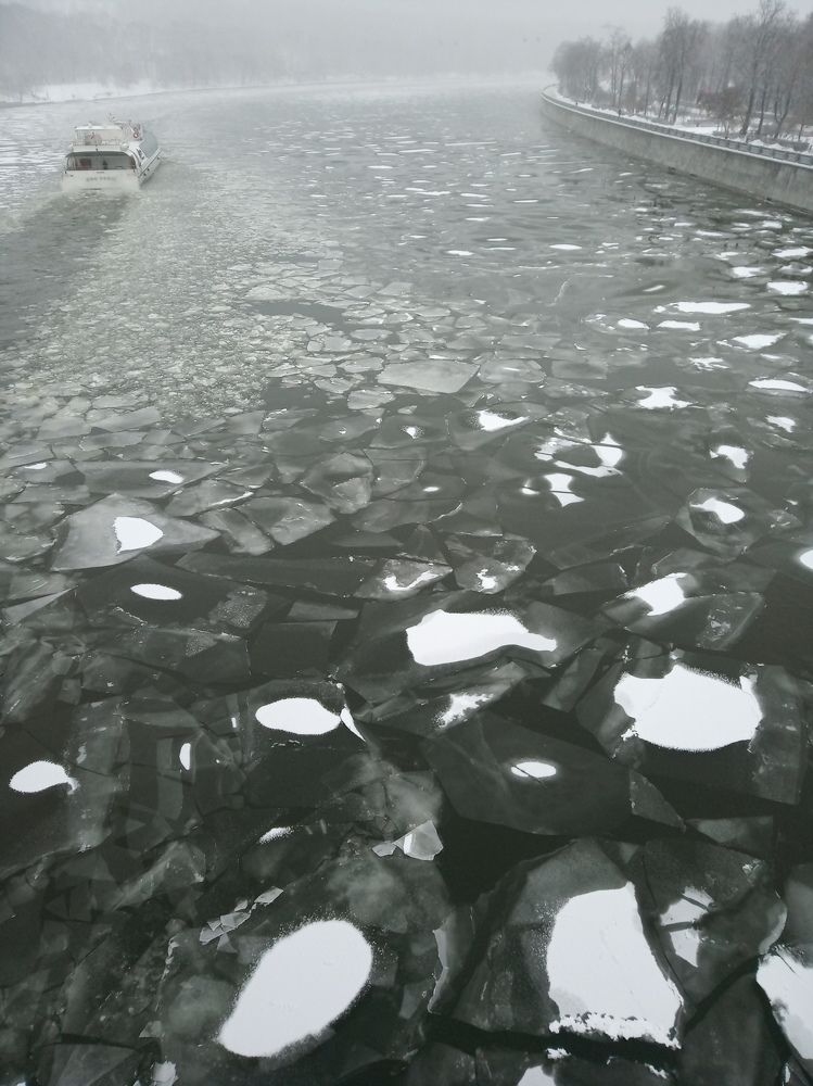 Photo #10608335