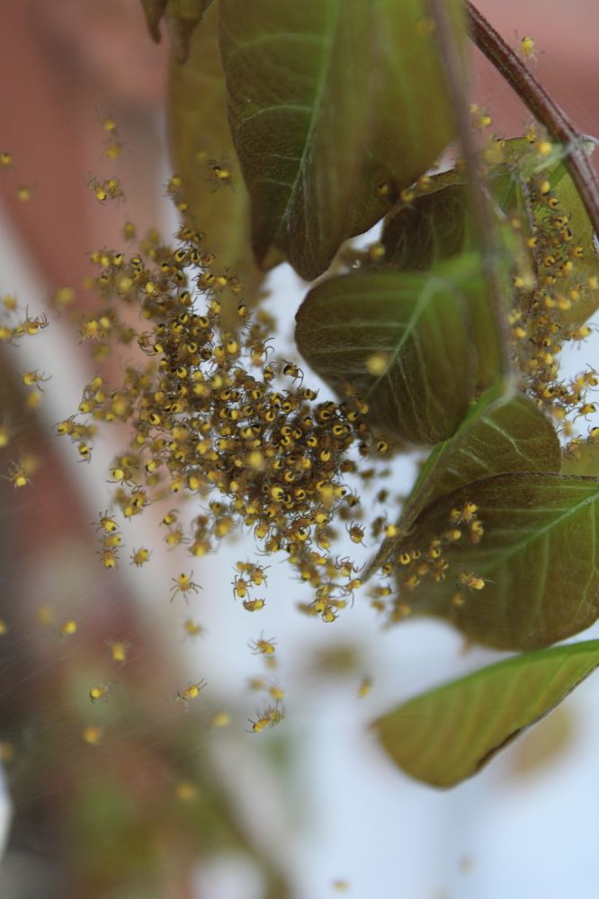 Photograph by Николай Немчанинов