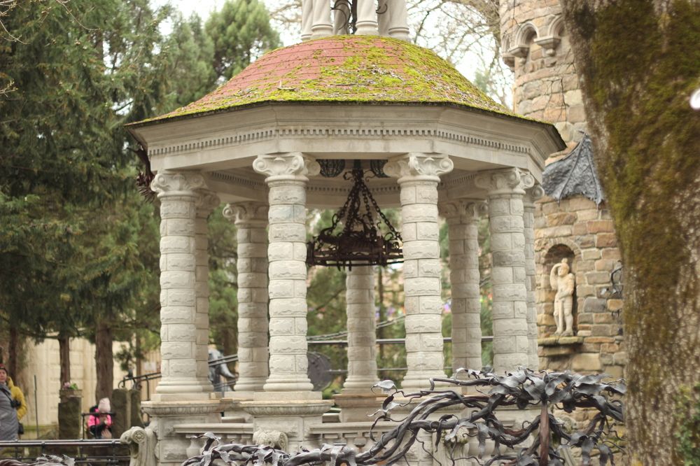 Photograph by Светлана Зотова