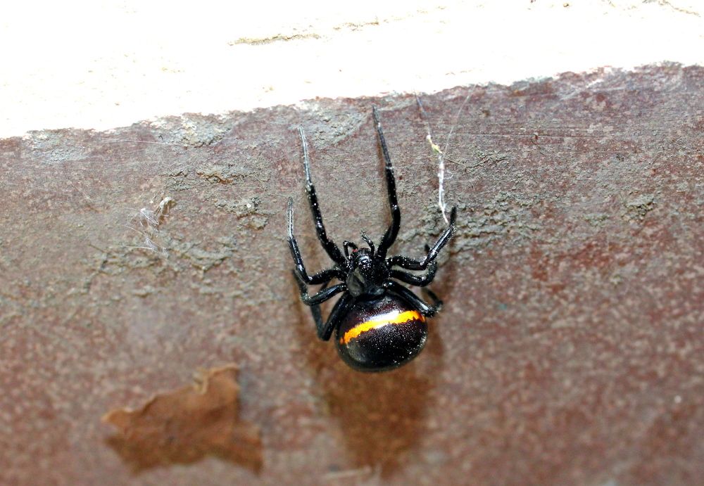 Photograph by Николай Немчанинов