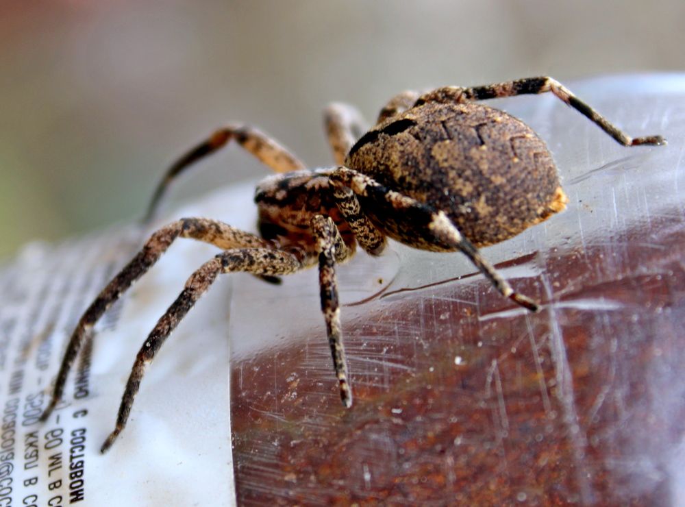 Photograph by Николай Немчанинов