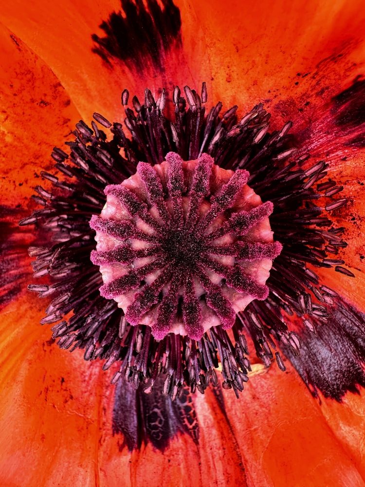 Photograph by Лидия