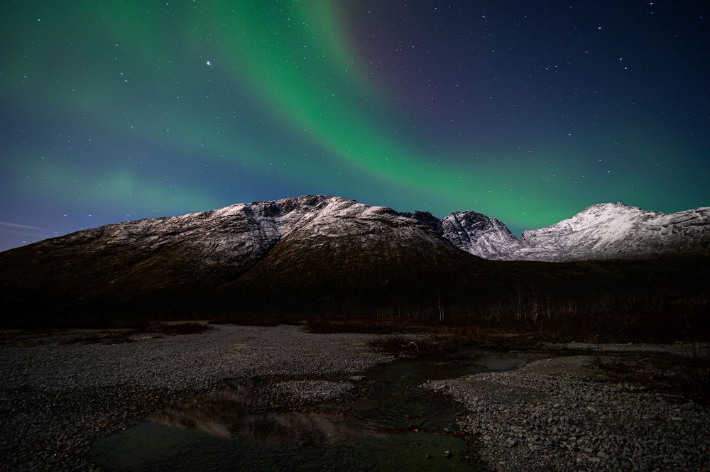 Фотография автора Алексей