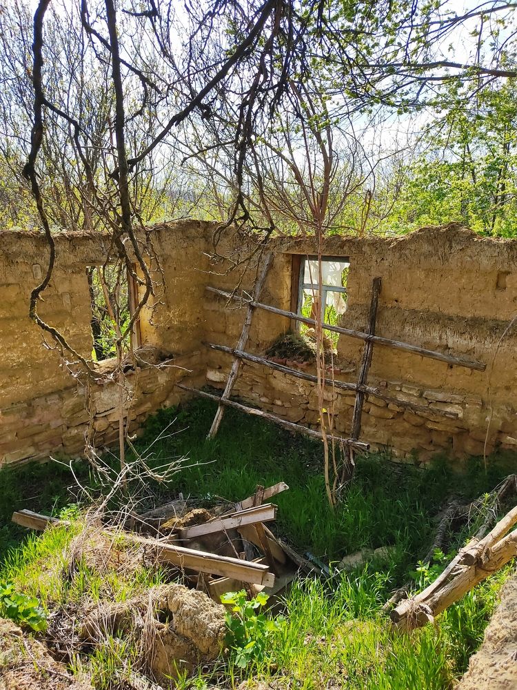 Photograph by Александра