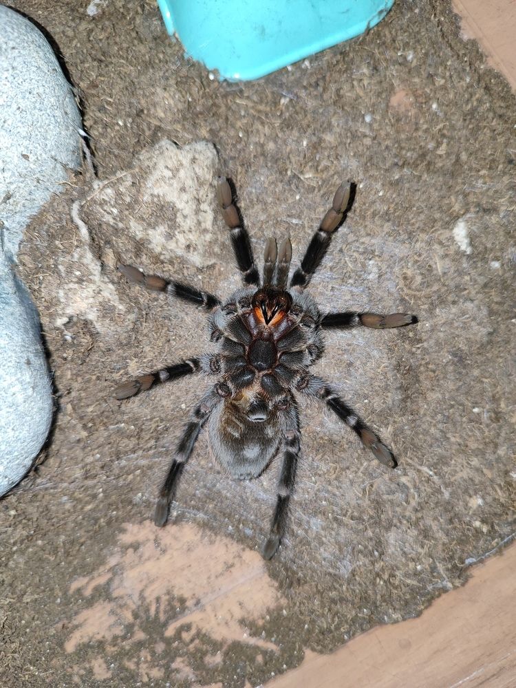 Photograph by Elvira Magsumova