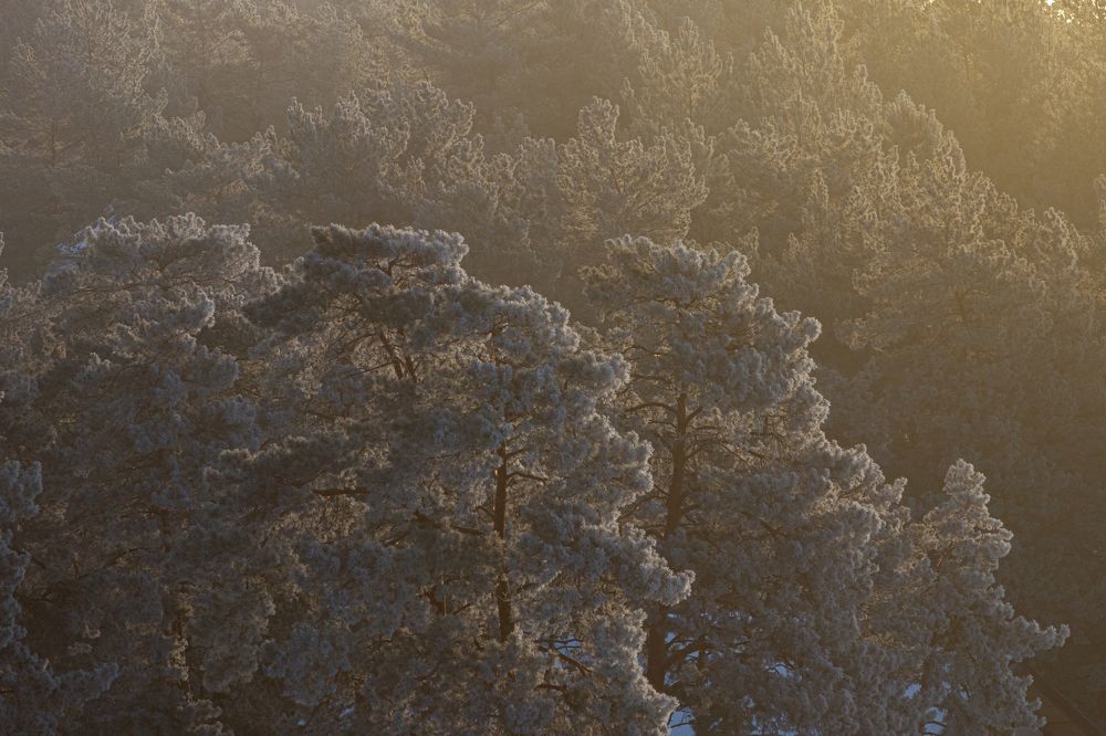 Photograph by Vitaly Lapin