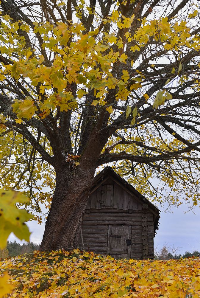 Photograph by Наталья Сергеева