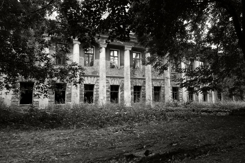 Photograph by Владимир Волков