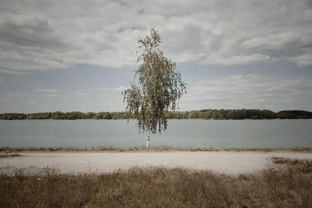 Photograph by Надежда Смирнова