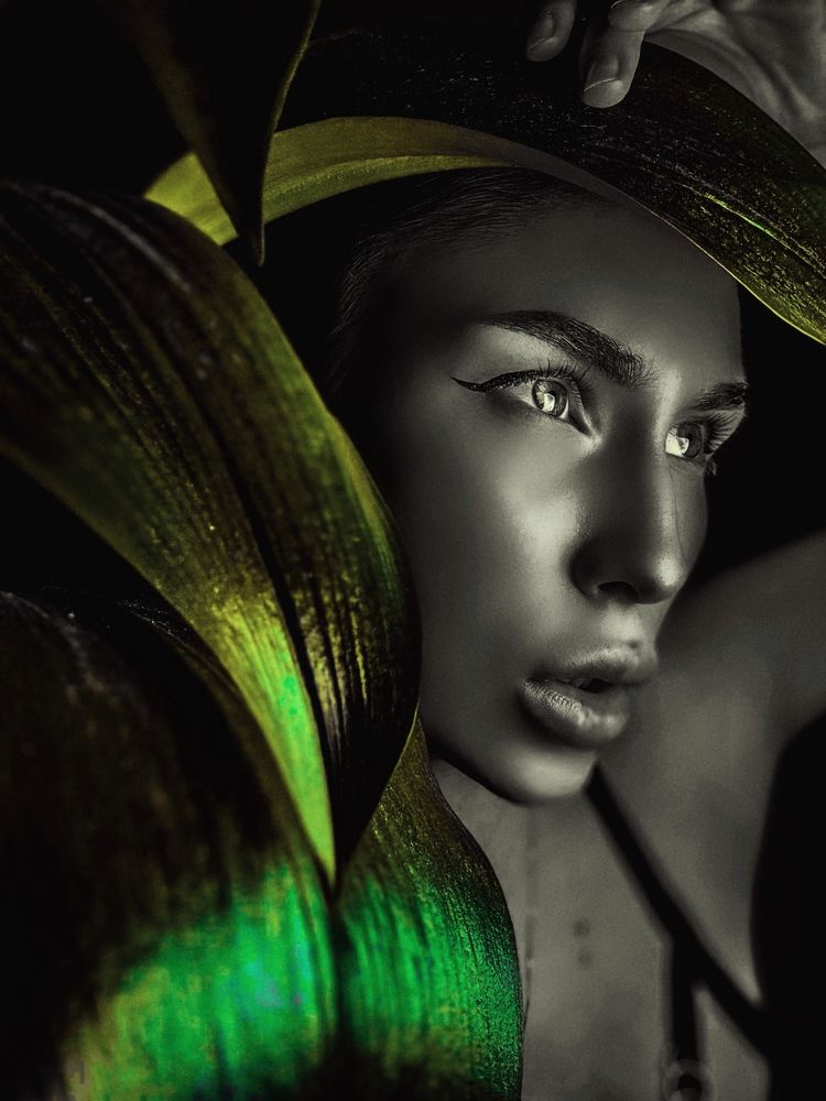 Фотография автора Кира Манчини