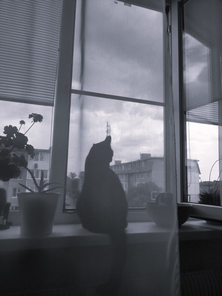 Photograph by Татьяна Краева