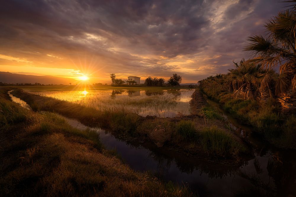 Atardecer en el Delta del Ebro