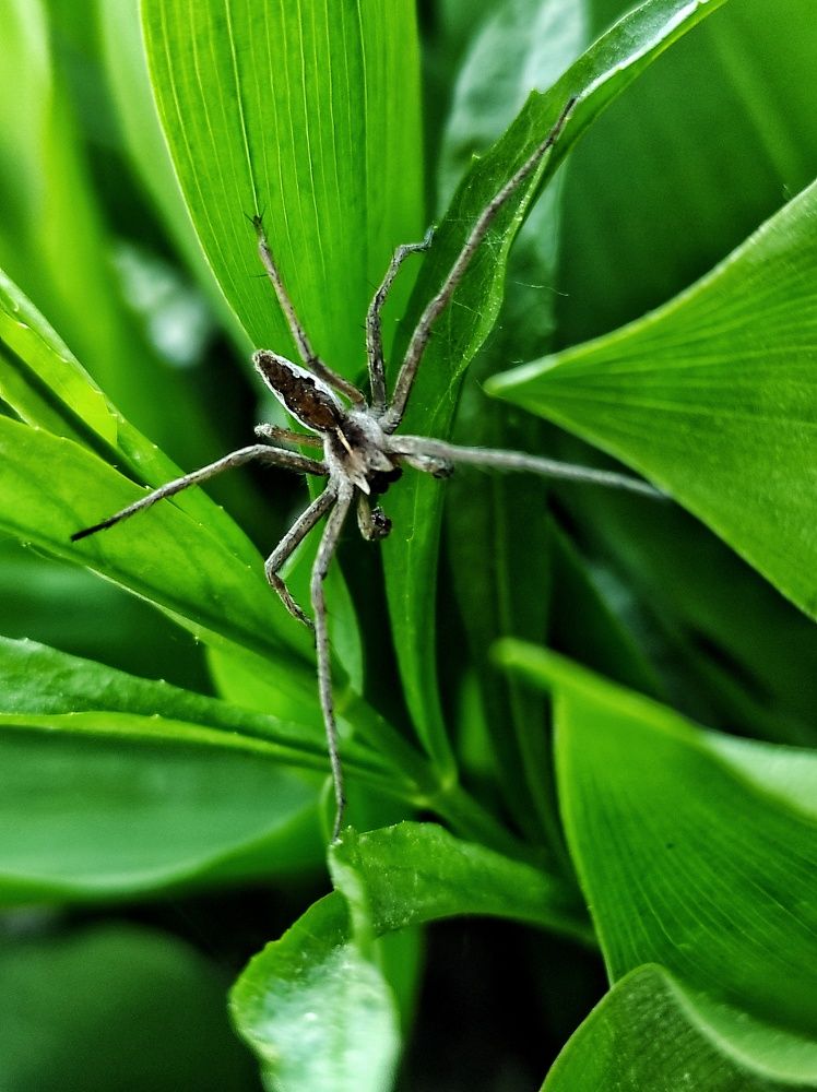 Photograph by Юлия Зинякова