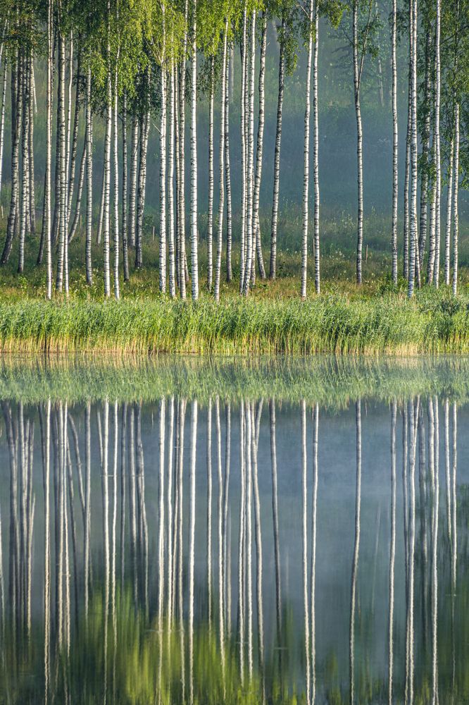 Photograph by Valdis Serzhans