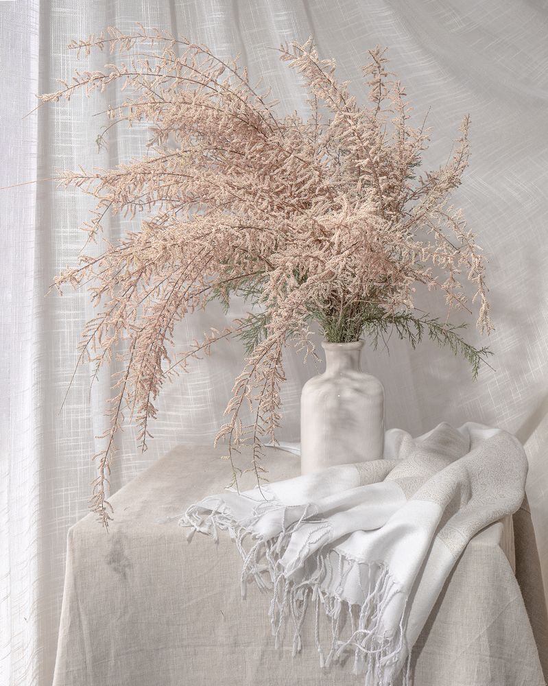 Photograph by Диана Трильо