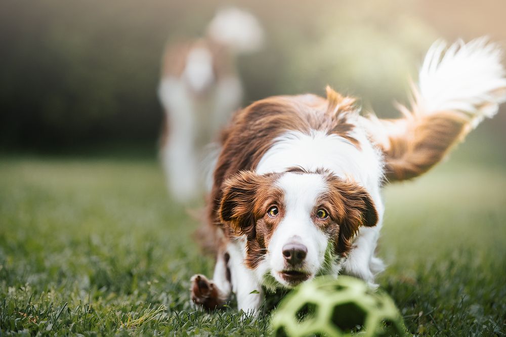 Photograph by Noa Táboas