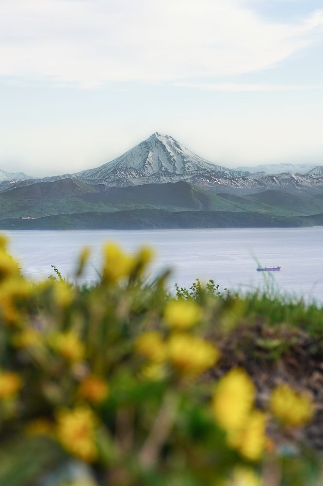 Photograph by Elena V