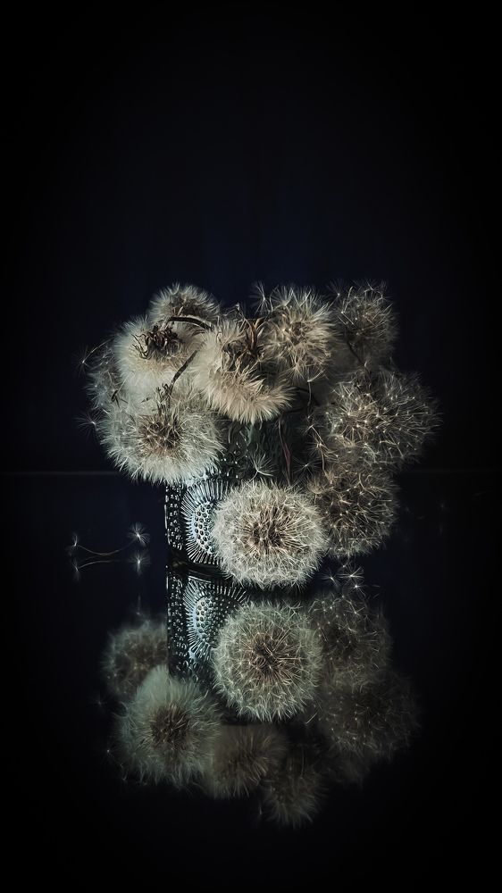 Photograph by Алена Жирова