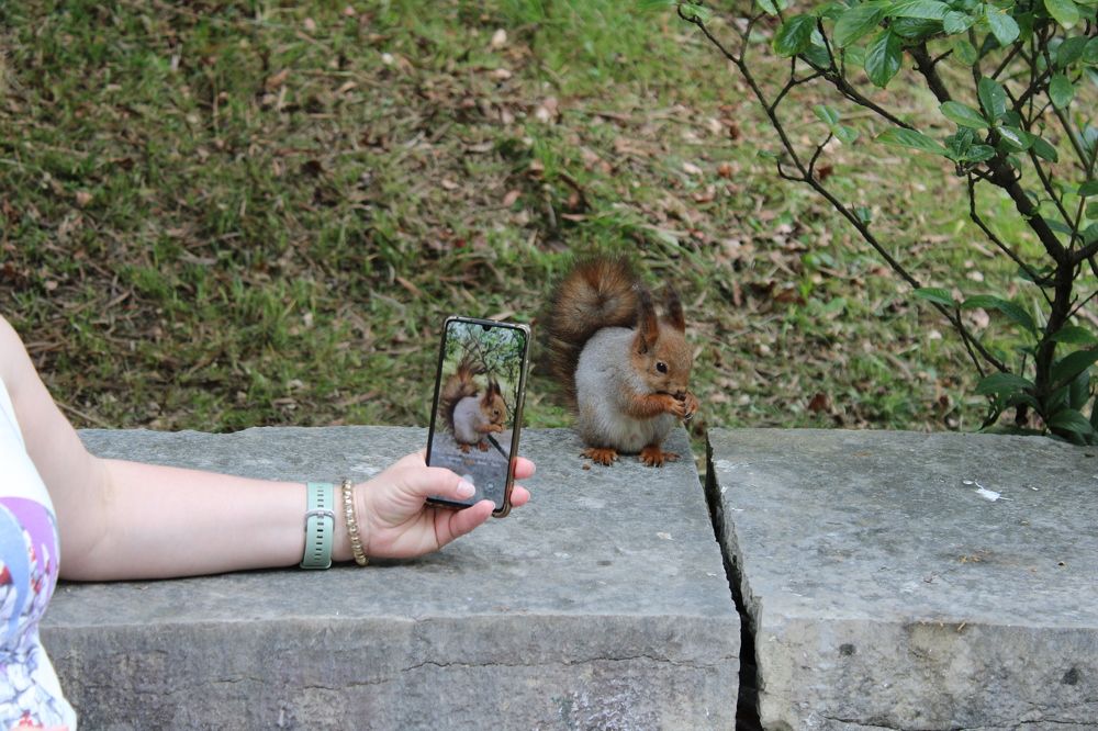 Photograph by Светлана Тропман