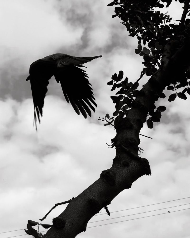 Photograph by Ksenia Sandlerski