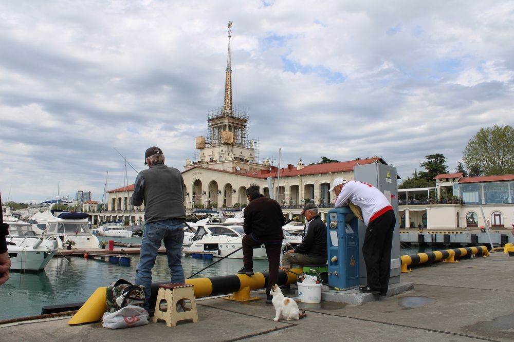 Photograph by Светлана Тропман