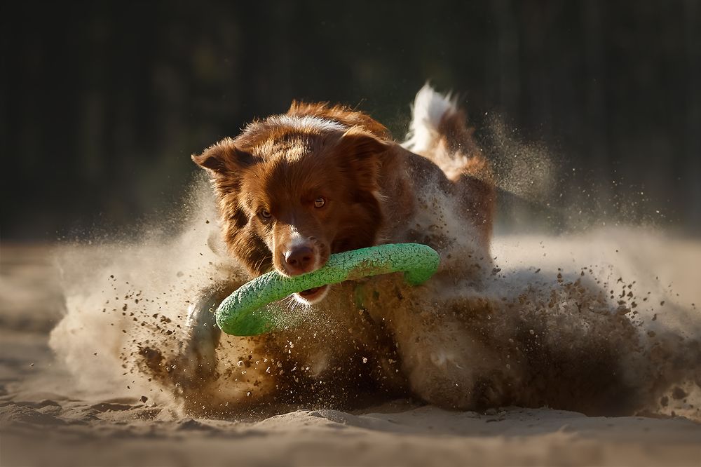 Photograph by Ольга Легенькая