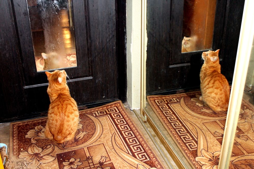 Photograph by Николай Немчанинов