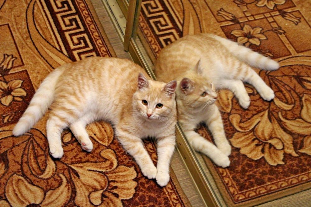 Photograph by Николай Немчанинов