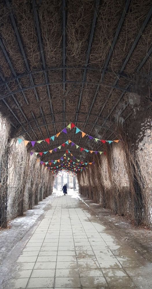 Photograph by Каковкина Ольга