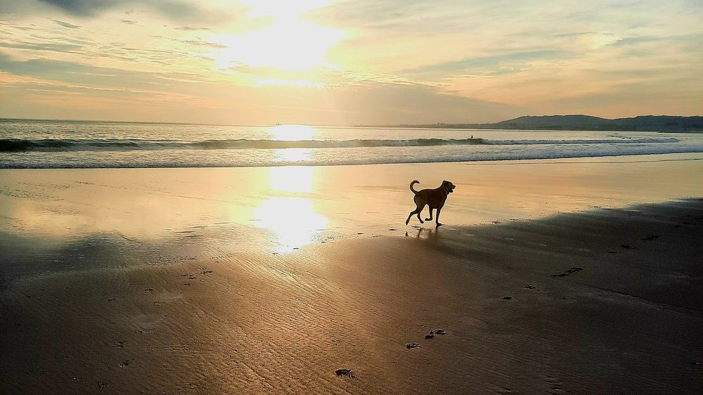 The beautiful sunset at Costa da Caparica