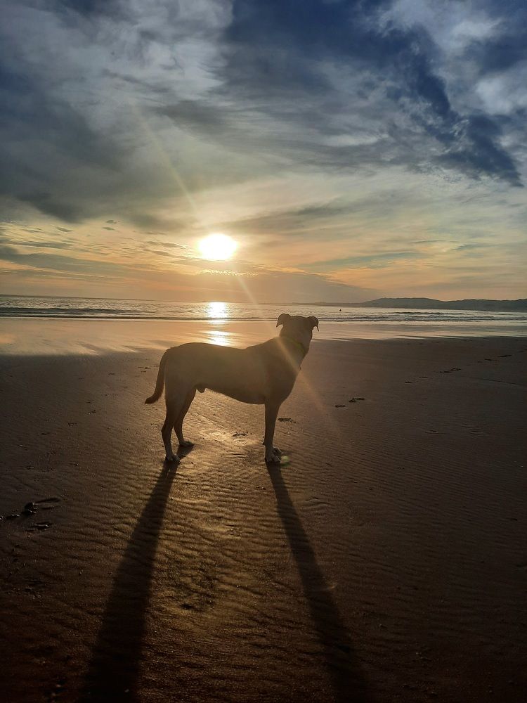 Photograph by Maria Teresa Teixeira de Sousa