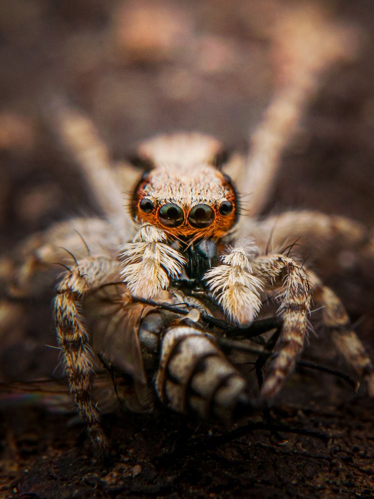 Photograph by Mark Acal